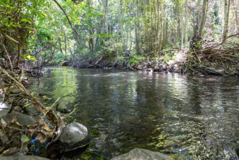 Montgomery Valley (64)
