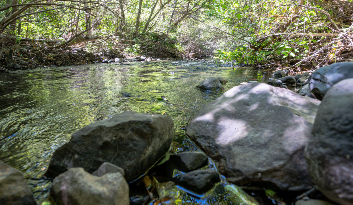Montgomery Valley (65)