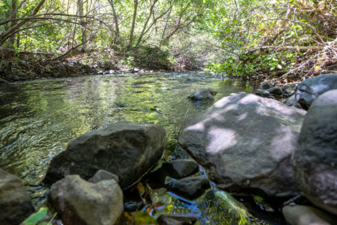 Montgomery Valley (65)