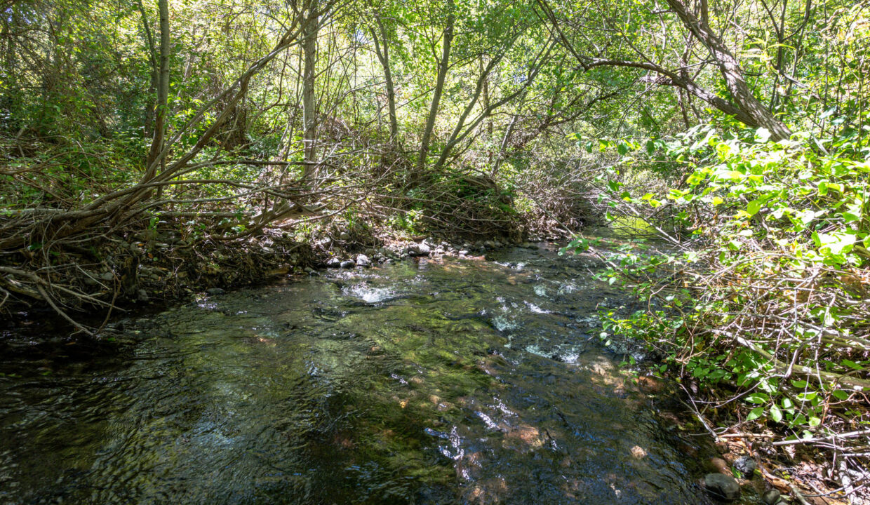 Montgomery Valley (66)