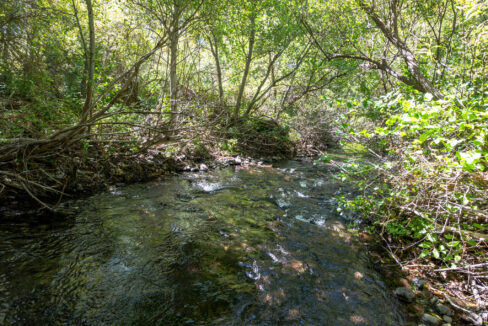Montgomery Valley (66)