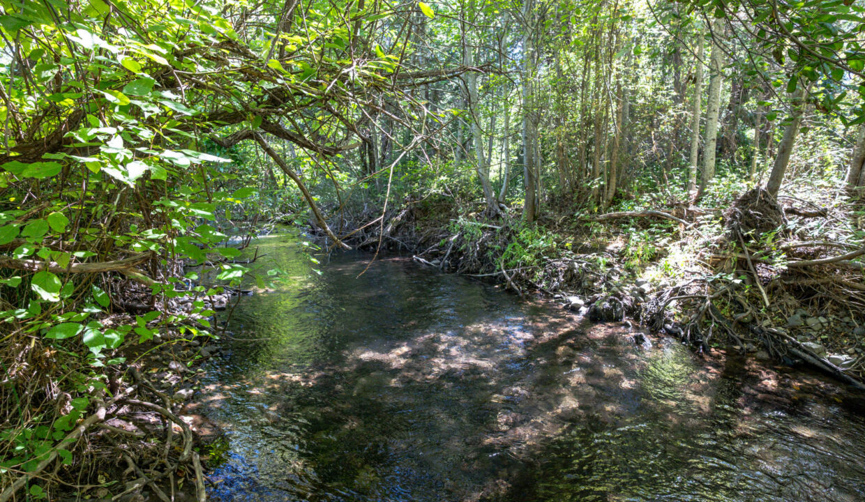 Montgomery Valley (67)