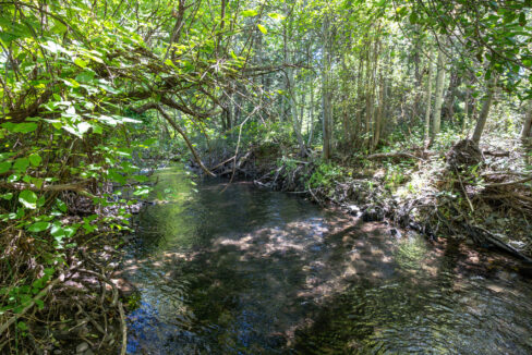 Montgomery Valley (67)